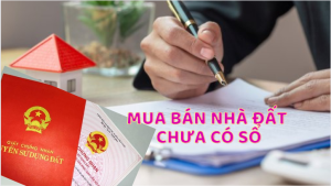 Chuyển nhượng quyền sử dụng đất chưa có sổ đỏ