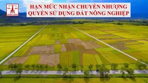 Hạn mức nhận chuyển nhượng quyền sử dụng đất nông nghiệp