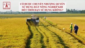 Có được chuyển nhượng quyên sử dụng đất nông nghiệp khi hết thời hạn không