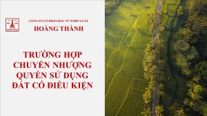 Trường hợp chuyển nhượng quyền sử dụng đất có điều kiện